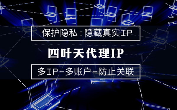 【阿里代理IP】服务器代理ip如何选择？如何挑选服务器代理商